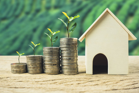Plant growing on stack coins with residential house model. Depicts a growth stock market about real estate and invest.の写真素材