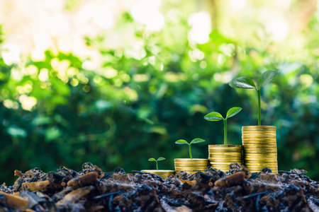 Long-term investment or making money with the right concepts. A plant growth on stack of coins on...