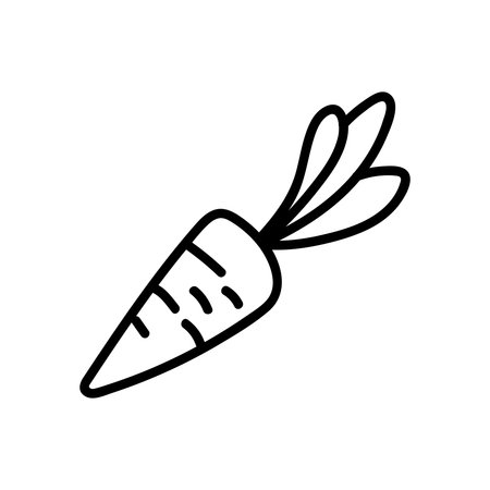 Simple black line drawing cartoon doodle carrot on white backgroundのイラスト素材