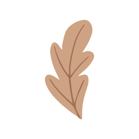 Oak leaf, isolated simple hand drawn illustration in doodle style. vector illustrationのイラスト素材