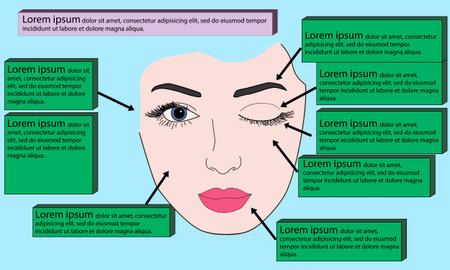Face chart Makeup artist blank. Template using infographics.のイラスト素材