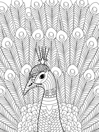 Peacock coloring book for adults vector illustration. Anti-stress coloring for adult. Zentangle style. Black and white lines. Lace patternのイラスト素材