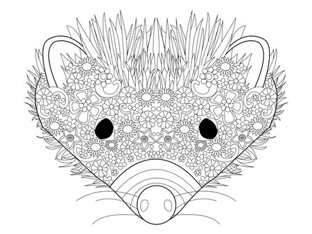 Hedgehog head coloring book for adults vector illustration. Anti-stress coloring for adult. Zentangle style. Black and white lines. Lace patternのイラスト素材