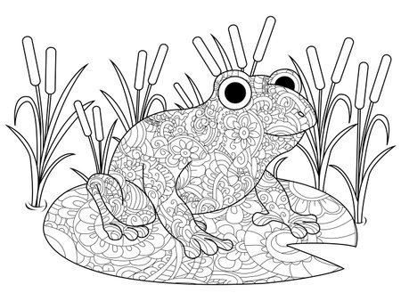 Frog on a lily in the swamp coloring book for adults vectorのイラスト素材