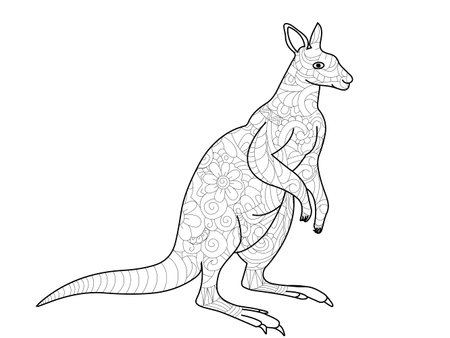 kangaroo coloring book for adults vector illustrationのイラスト素材