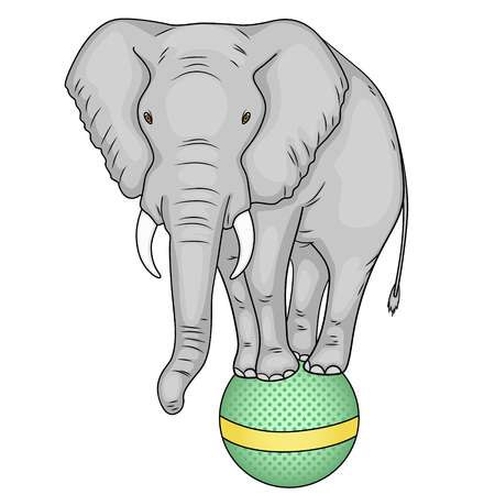 Isolated object on white background. A circus elephant stands on a ball. The imitation of comic style. Vectorのイラスト素材