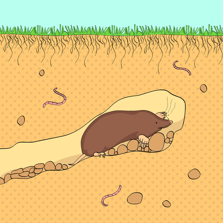 pop art background. Vector cut section of land with blue sky, grass, underground soil with dirt, mud, stone and gophers in holeのイラスト素材