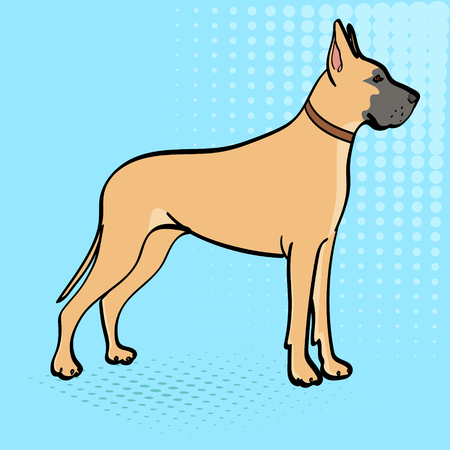 Great Dane breed of domestic dog. Pop art background. Retro style, comic emulation. vectorのイラスト素材