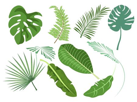 Leaves set of various plants vector illustration flatのイラスト素材
