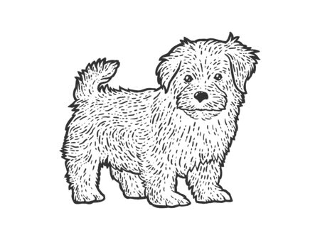 Cute and fluffy puppy. Sketch scratch board imitation. Black and white. Engraving vector illustration.のイラスト素材
