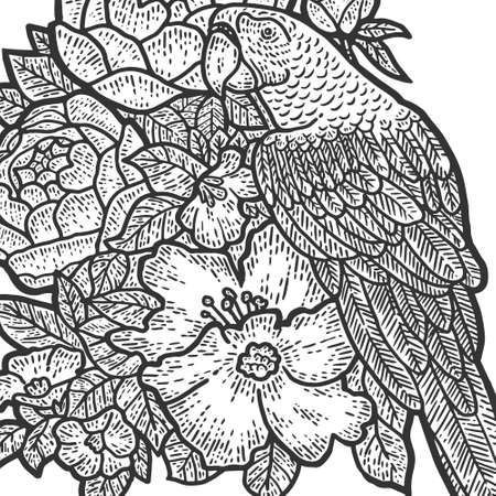 Parrot in Flowers coloring page. Sketch scratch board imitation. Black and white.のイラスト素材