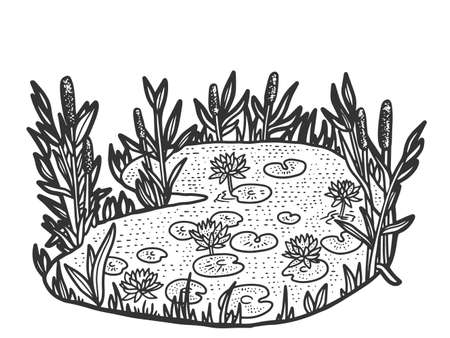 Nature, swamp. Sketch scratch board imitation. Black and white.のイラスト素材