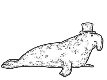 Elephant seal in hat. Sketch scratch board imitation. Engraving raster illustration.の写真素材