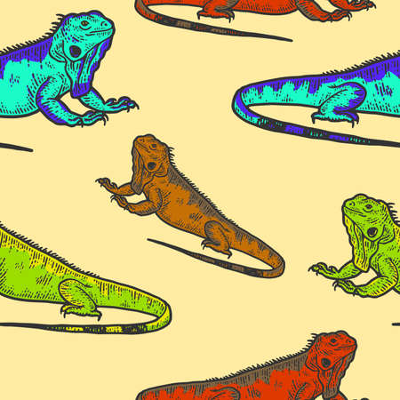 Iguana sketch seamless, drawing a big lizard. Apparel print design colorの写真素材