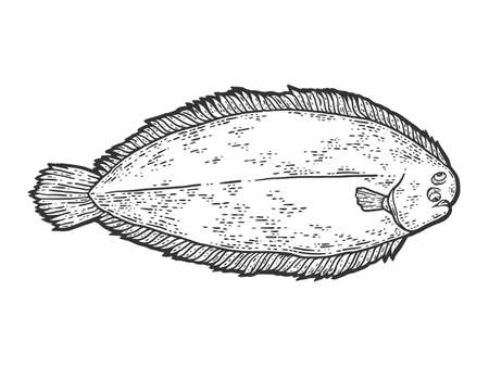 Common sole, isolated fish. Sketch scratch board imitation.のイラスト素材