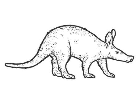 Aardvark, African animal. Sketch scratch board imitation. Black and white.のイラスト素材