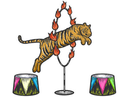 Circus, tiger jumping through a ring of fire. Sketch scratch board imitation color.のイラスト素材