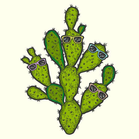 Plants, cactus with glasses. Sketch scratch board imitation color.のイラスト素材