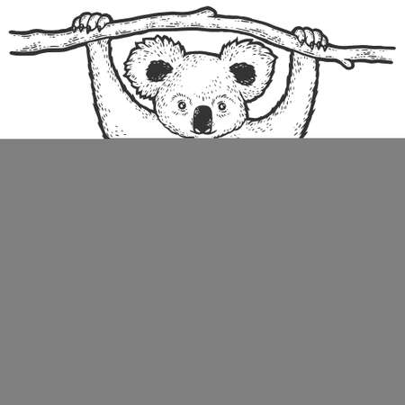 Panda hangs on the tree. Sketch scratch board imitation. Black and white.のイラスト素材