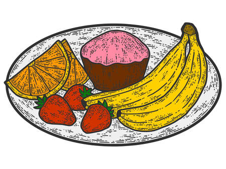 On a plate cake and fruits. Line art sketch picture. Hand drawn.のイラスト素材