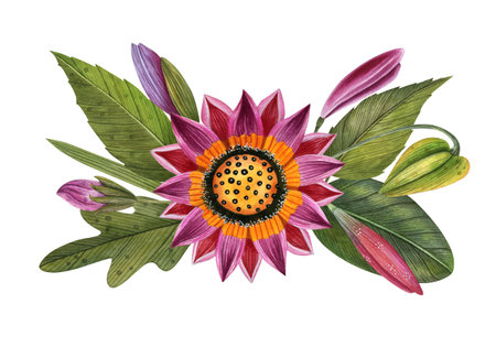 Hand drawn watercolor flower composition. Illustrations for wedding invitations, cards, stickers, prints and other design.の写真素材