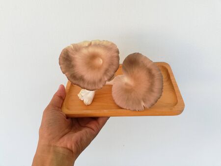 hand holding mushrooms on wooden dish with white backgroundの写真素材