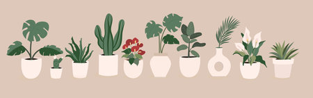 Interior home indoor plants hand drawn vector illustrations set, on beige bacgroundのイラスト素材
