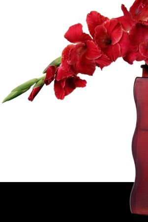 vase with Gladiolus flowers in Japan styleの写真素材