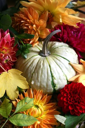 autumn arrangementの写真素材