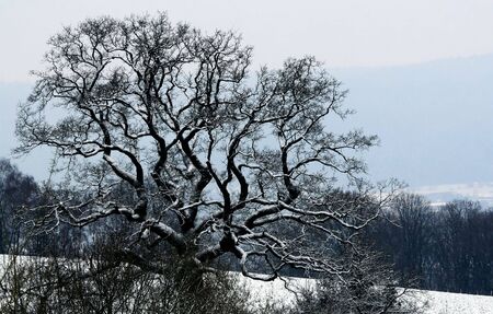 winter sceneの写真素材