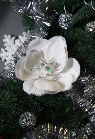 christmasの写真素材
