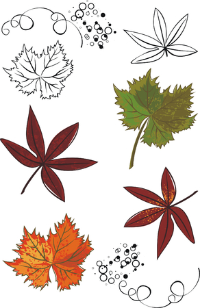 autumn leavesのイラスト素材