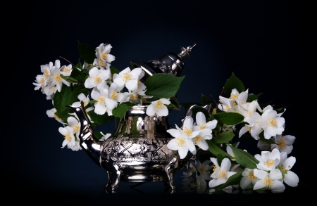 Jasmine bouquet in the teapotの写真素材