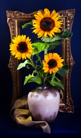 Still life with sunflowers  on dark blue backgroundの写真素材