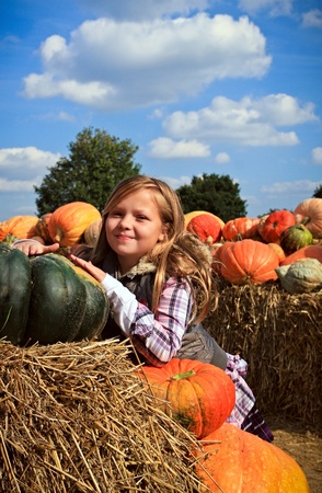 Cute little girls in a pumpkin patchの写真素材