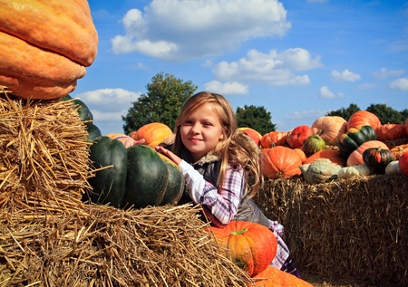 Cute little girls in a pumpkin patchの写真素材
