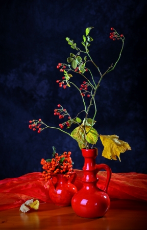 Still life with autumn Leaves and Berries の写真素材