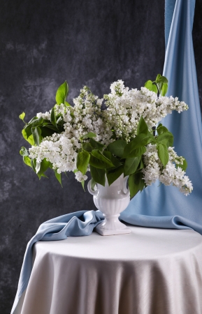 Still life with white lilac in vase の写真素材