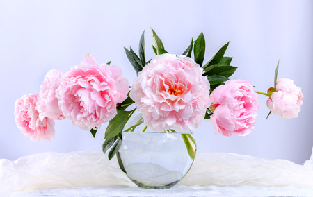 Still life with beautiful pink peonies in green vaseの写真素材