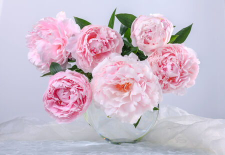 Still life with beautiful pink peonies in green vaseの写真素材