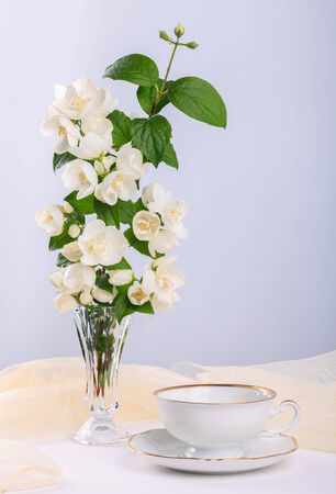 Still Life with Jasmine flowers  in a vaseの写真素材