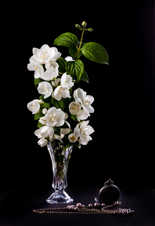 Still Life with Jasmine flowers  in a vaseの写真素材