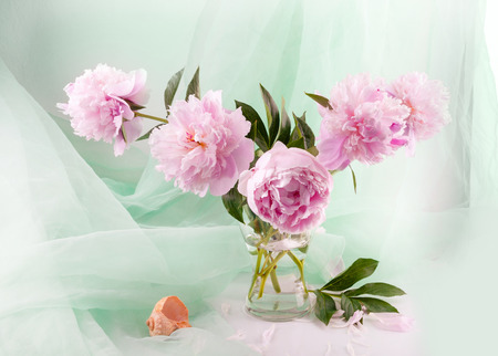 Still life with beautiful pink peonies in a glass vaseの写真素材