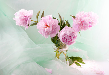 Still life with beautiful pink peonies in a glass vaseの写真素材