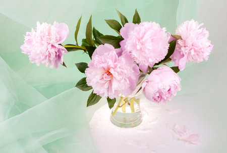 Still life with beautiful pink peonies in a glass vaseの写真素材