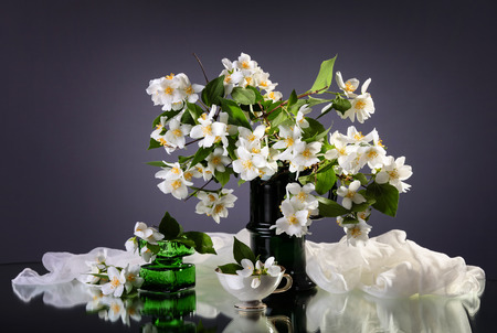 Jasmine bouquet in the vase on dark backgroundの写真素材