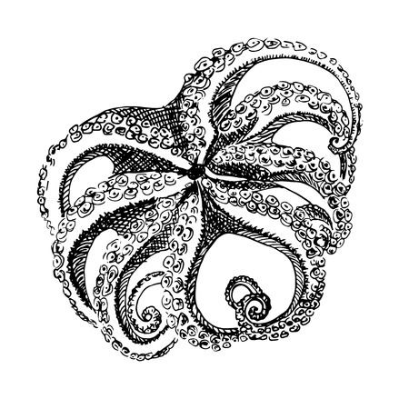 Hand drawn octopus illustration in black and white colorのイラスト素材