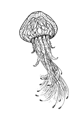 Hand drawn jellyfish illustration in black and white colorのイラスト素材