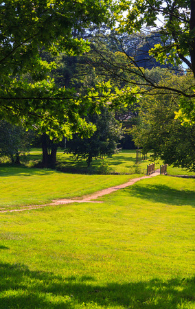 A park garden with blue skyの写真素材