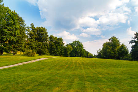 A park garden with blue skyの写真素材